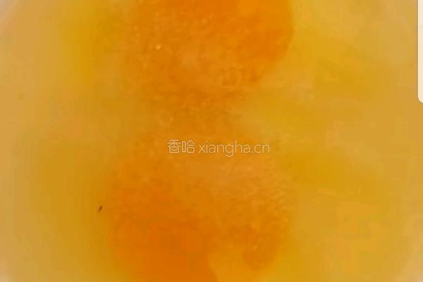 玫瑰花饺子的做法图解4
