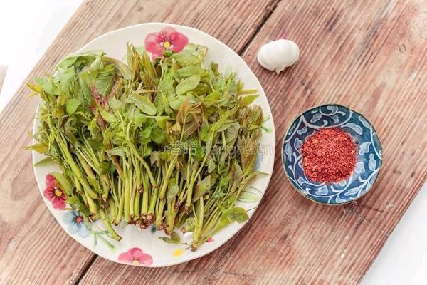 香椿辣酱的做法图解1
