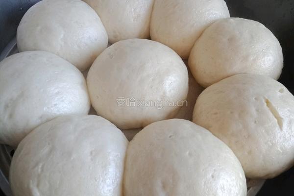 蒸馒头的做法图解19