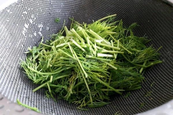 健康美味蒸茴香的做法图解2