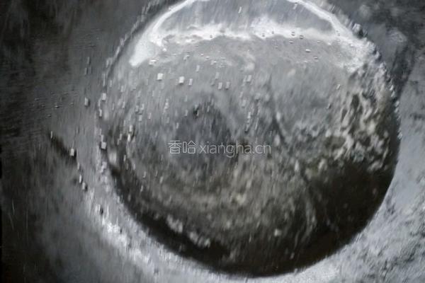 竹荪酿肉的做法图解15