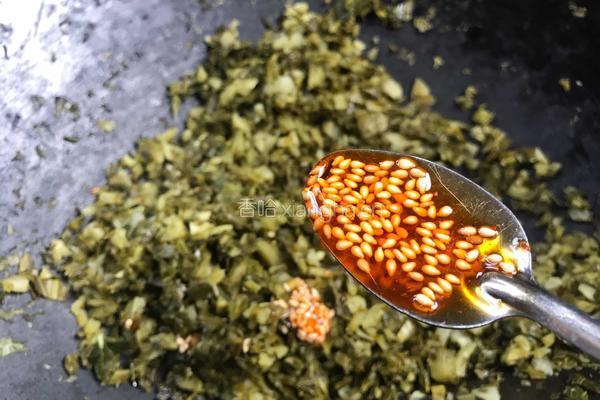 莲藕酸菜馅包子的做法图解9