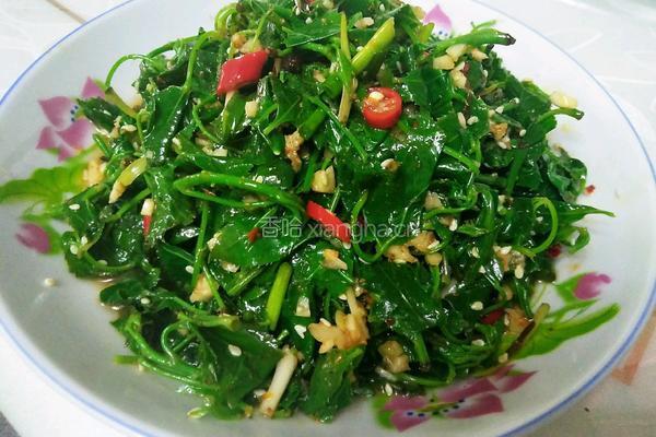 凉拌簕菜（苦刺藤）的做法图解6