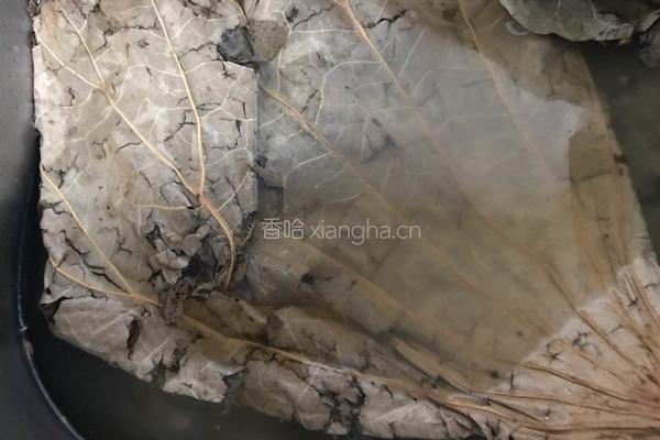 荷叶蒸腊鱼的做法图解1