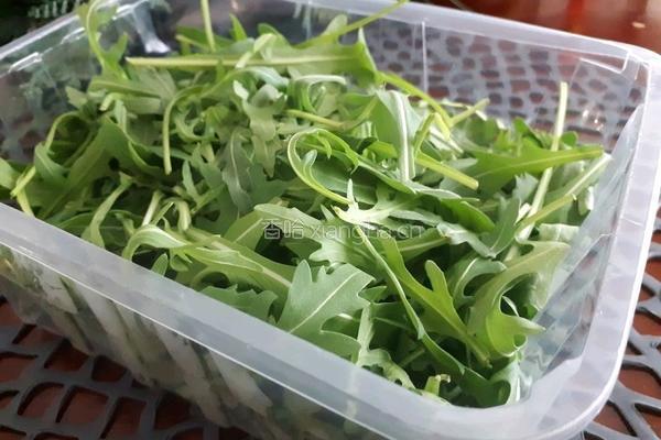 天然草莓沙拉酱的做法图解4