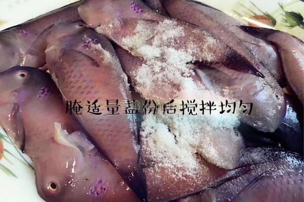 油煎莺歌鱼的做法图解1