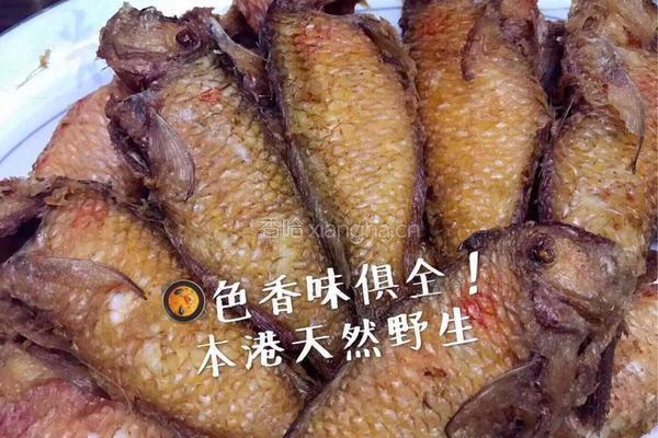 油煎莺歌鱼的做法图解7