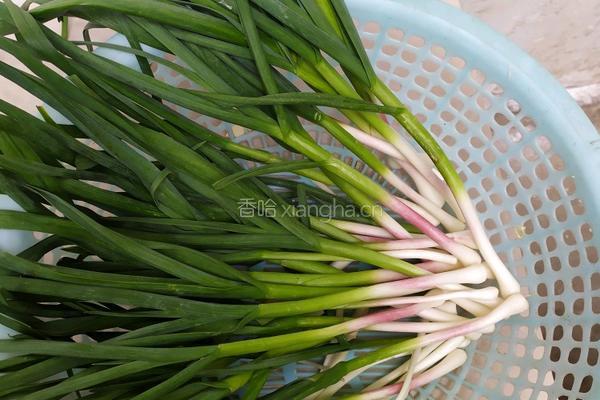 素饺子馅的做法图解2