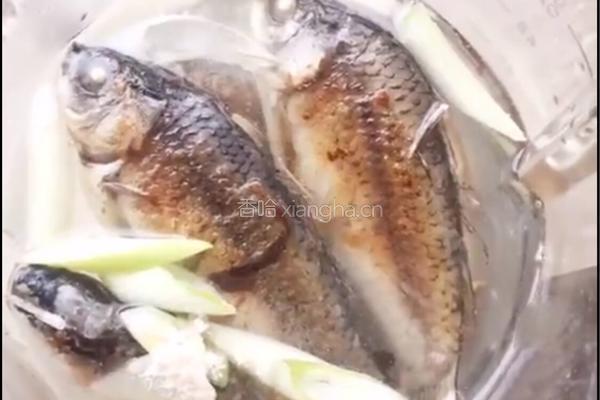 野生鲫鱼豆腐汤的做法图解8