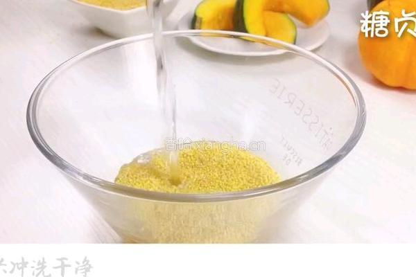 宝宝营养餐系列～南瓜小米粥的做法图解5