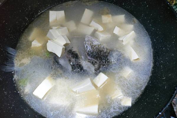 鲫鱼豆腐汤的做法图解4