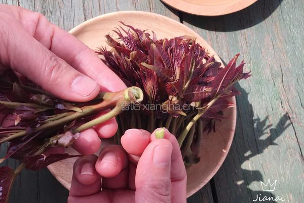 香椿拌豆腐的做法图解1