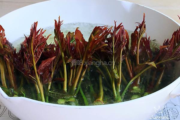 香椿拌豆腐的做法图解3
