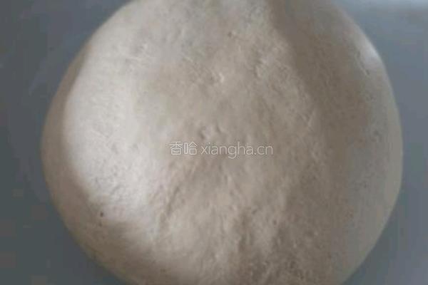 萝卜缨生煎的做法图解2
