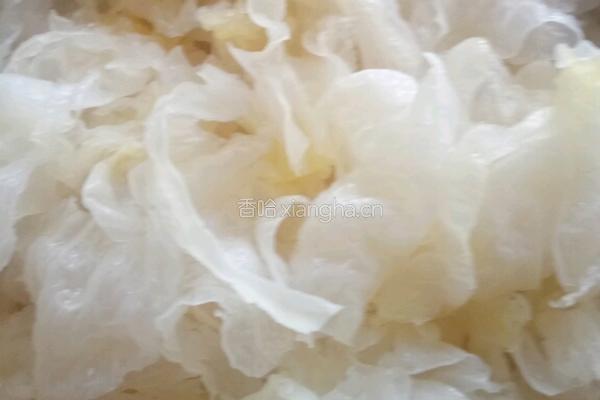 冰糖雪梨银耳羹的做法图解5