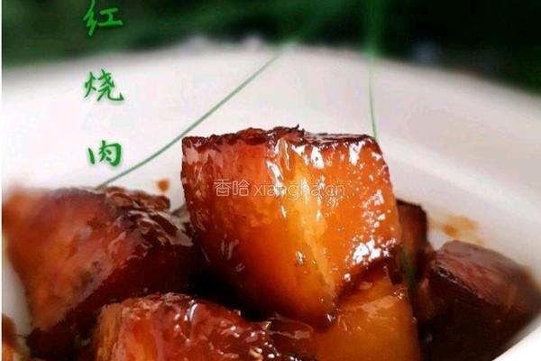 酒酿红烧肉的做法图解9