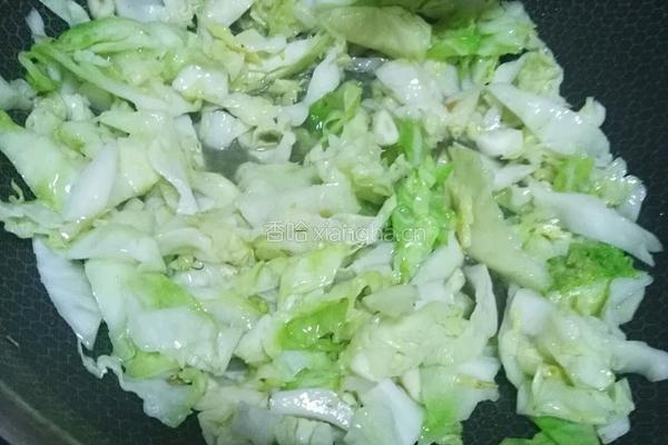爆炒卷心菜的做法图解4