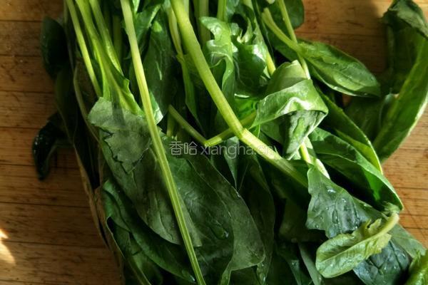 菠菜蛋饼的做法图解1