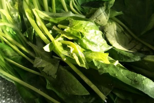 菠菜蛋饼的做法图解2