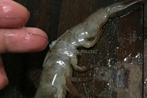 蒜蓉粉丝开边虾的做法图解1