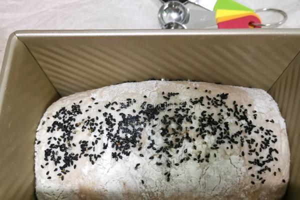 纯手工制作 烤全麦面包 大列巴的做法图解15