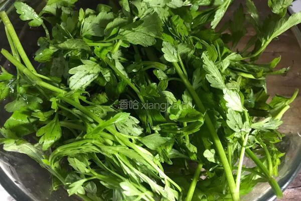 野芹菜叶豆腐汤的做法图解3