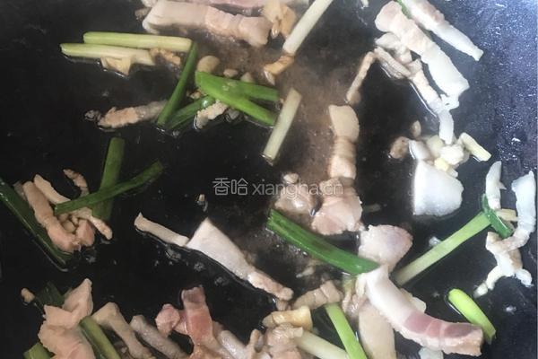五花肉炒豆芽的做法图解4