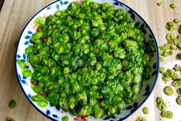 辣味榆钱炒肉的做法图解3