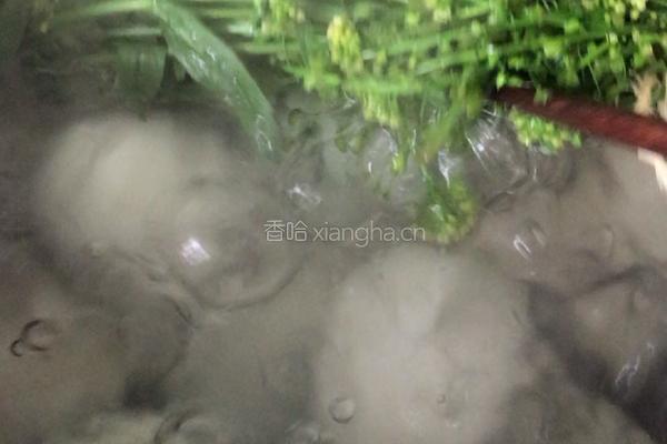 荠菜煮蛋的做法图解6