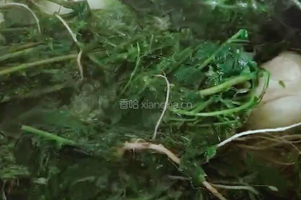 荠菜煮蛋的做法图解9