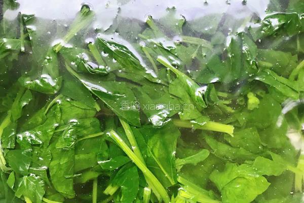 凉拌菠菜粉条的做法图解2