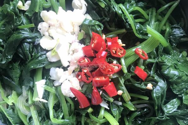 凉拌菠菜粉条的做法图解6