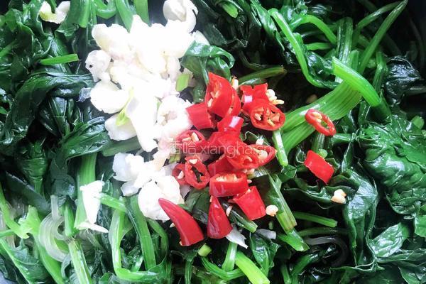 凉拌菠菜粉条的做法图解10