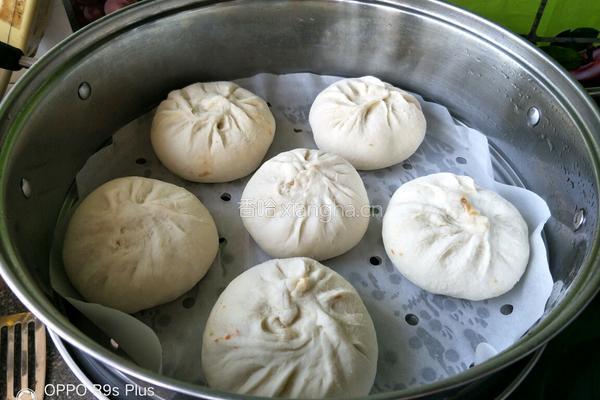 牛肉胡萝卜包子的做法图解6