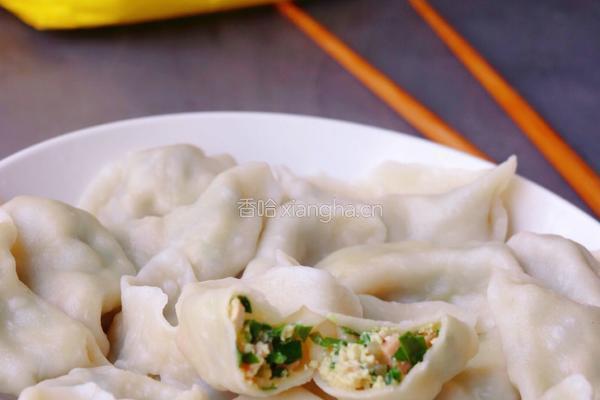 韭菜豆腐饺子的做法图解10