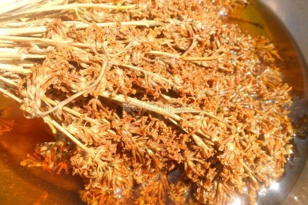 黄花粑粑的做法图解7