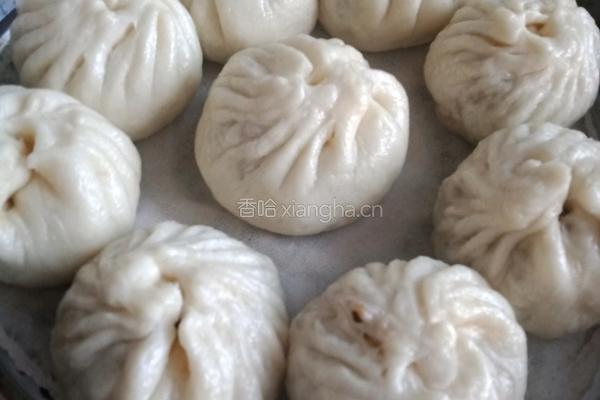 蒸包子的做法图解4
