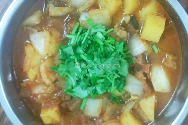 红烩牛腩的做法图解7