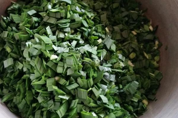 韭菜菠菜素包子的做法图解6