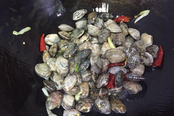 香辣花蛤的做法图解8