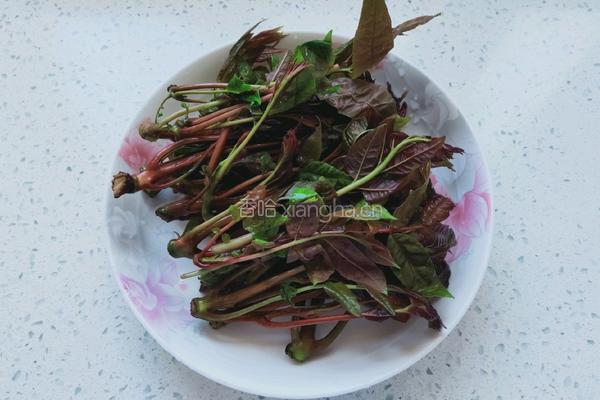 香椿豆腐汤的做法图解2