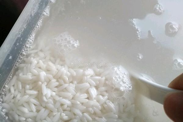 原味粽子（无糖孕妇版）的做法图解1