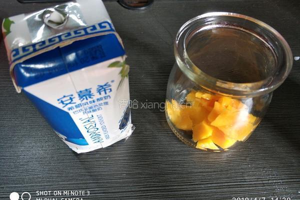 芒果 酸奶的做法图解1