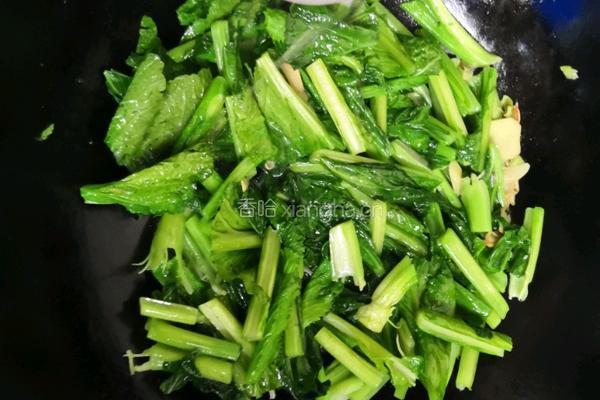炒芥菜的做法图解6