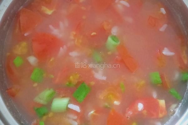 番茄粥的做法图解6