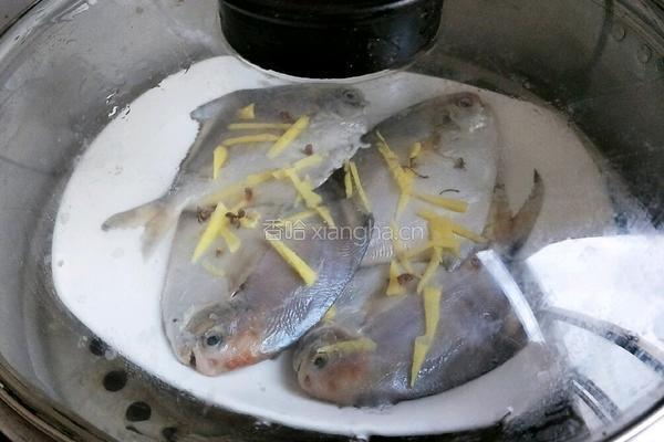 清蒸美味小鲳鱼的做法图解4