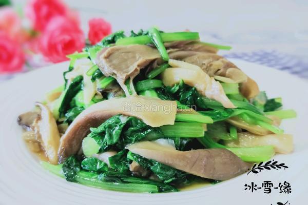 鲜蘑炒油菜的做法图解1