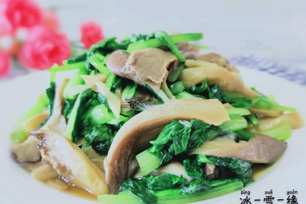 鲜蘑炒油菜的做法图解9