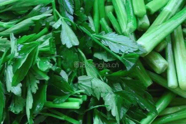 蒜末野芹菜的做法图解5
