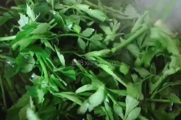 蒜末野芹菜的做法图解7